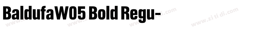 BaldufaW05 Bold Regu字体转换